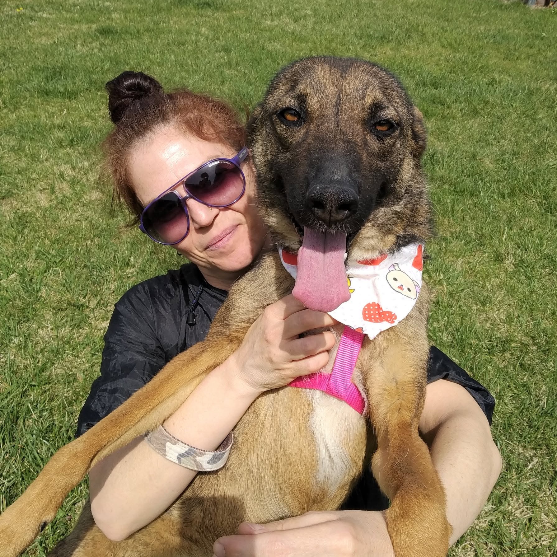 Volunteer caring for a shelter dog