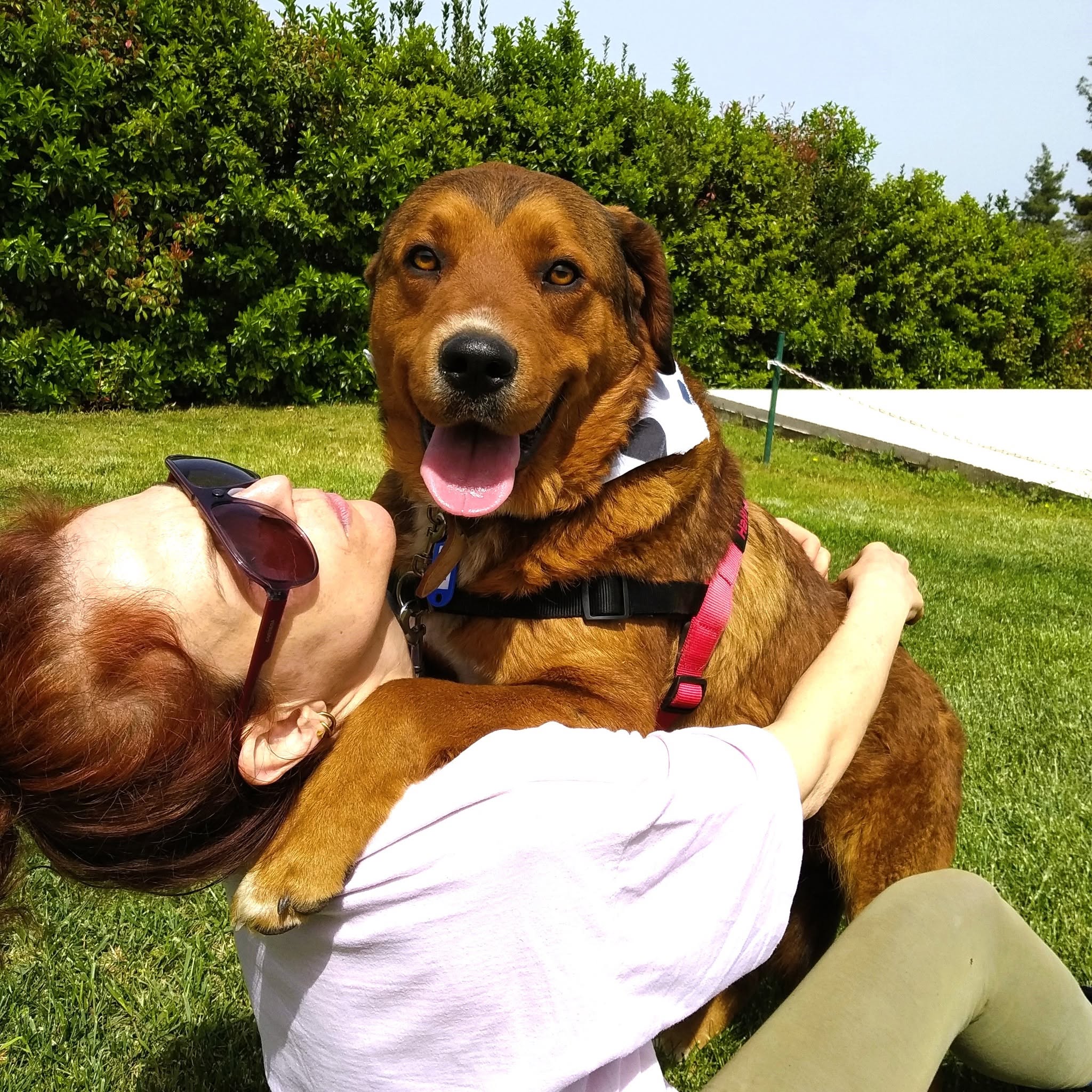 Leo at the shelter