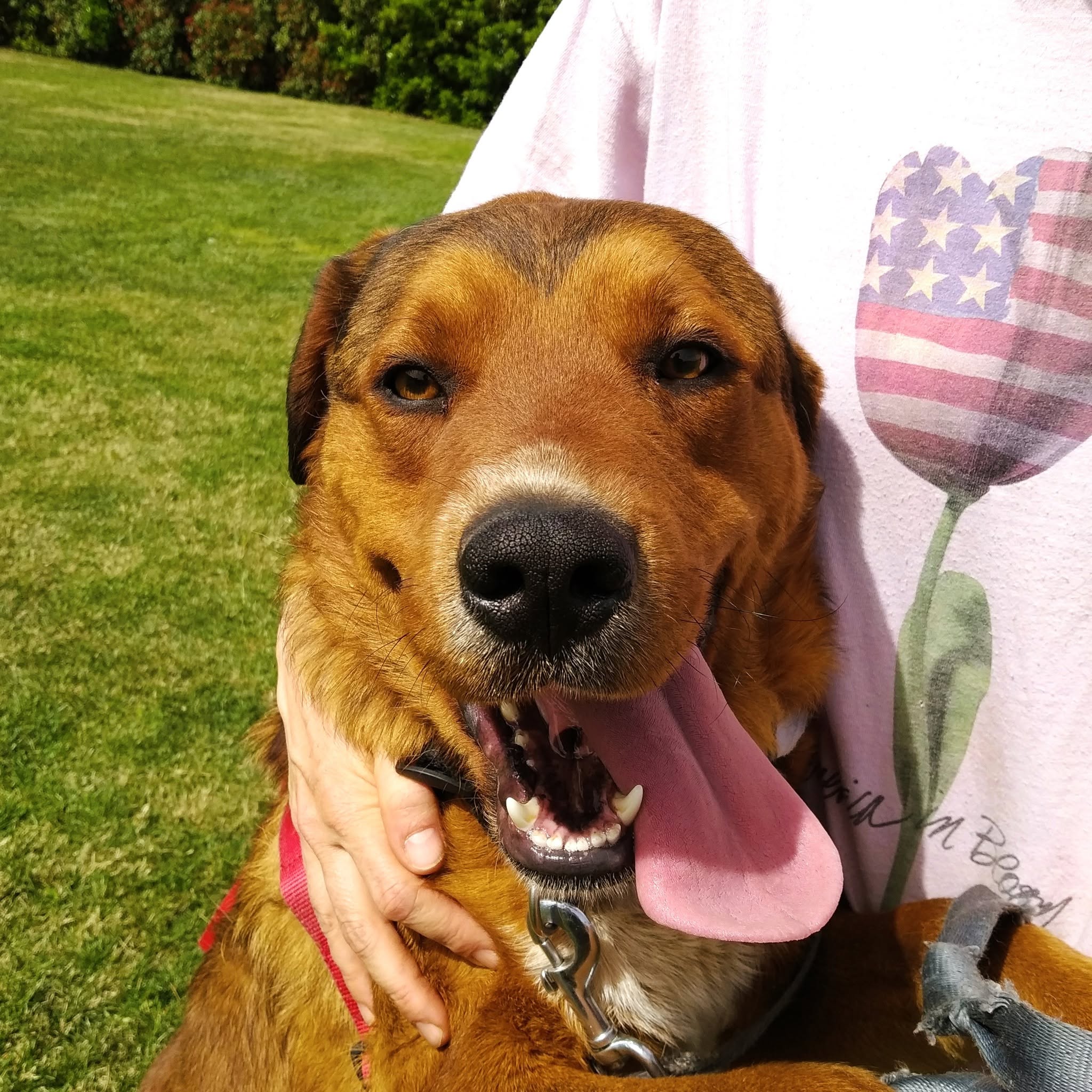 Leo smiling