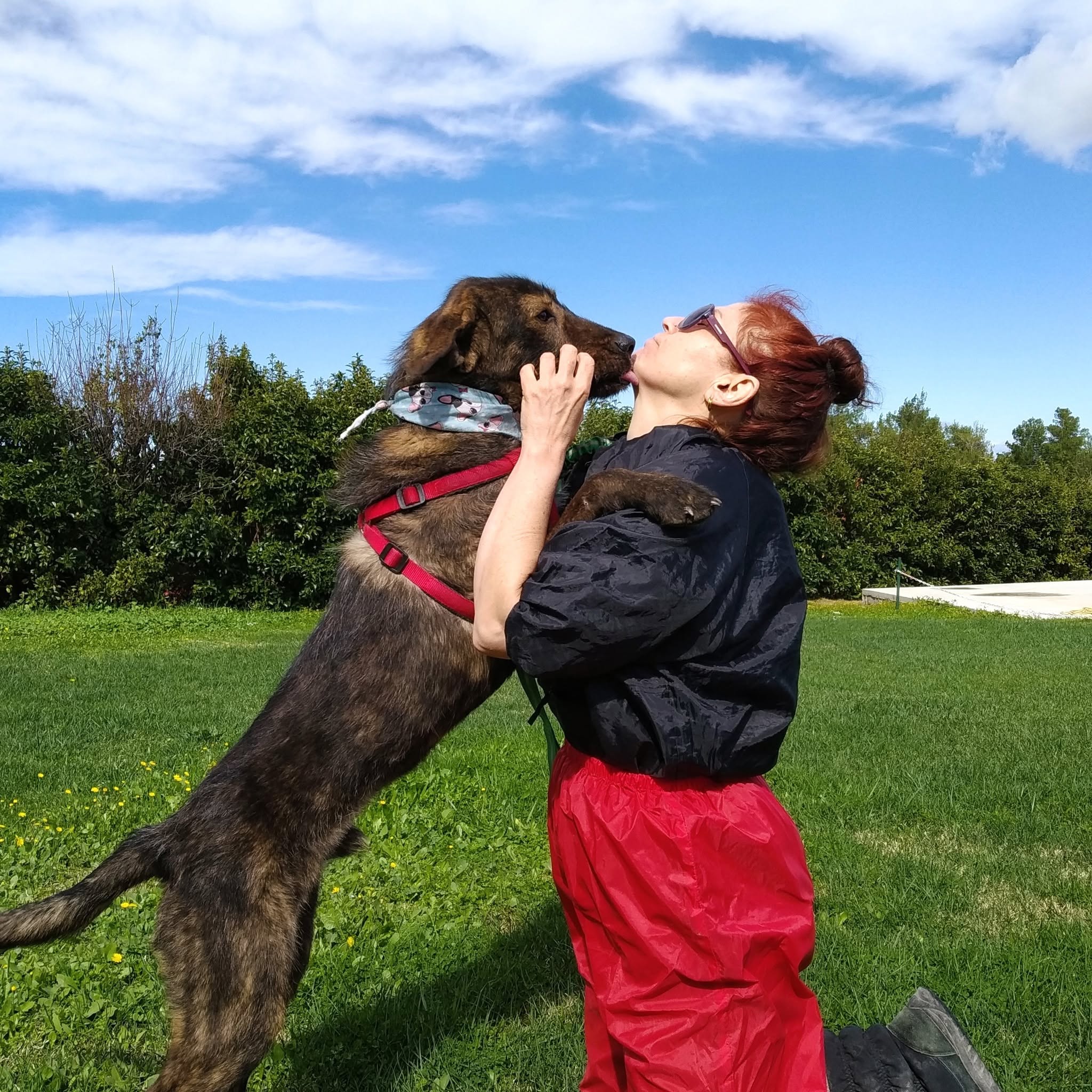 Povaro at the shelter
