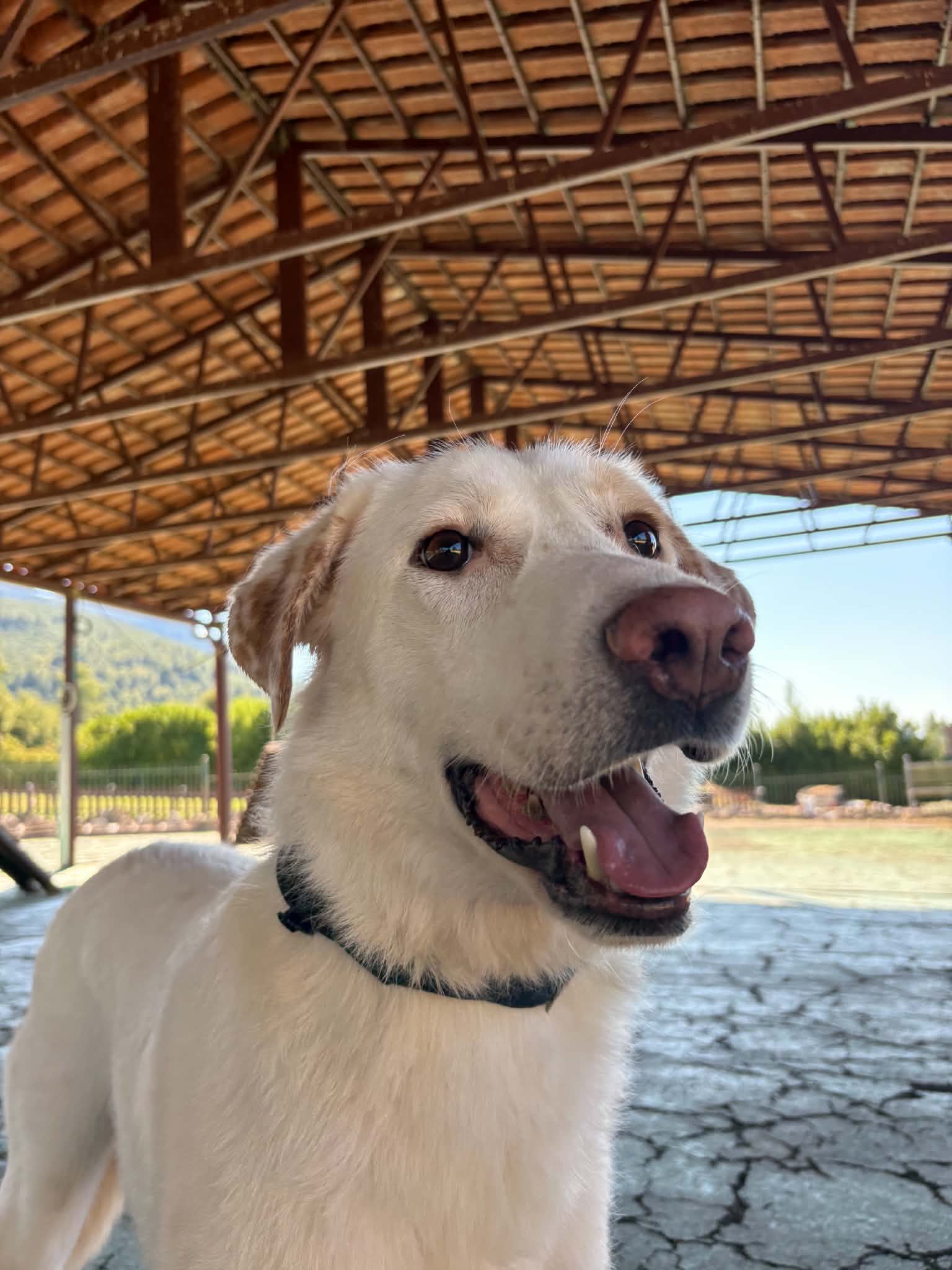 Eric relaxing