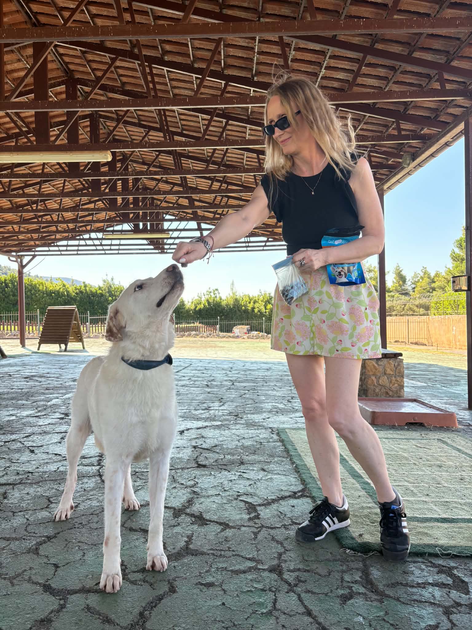 Eric waiting for adoption
