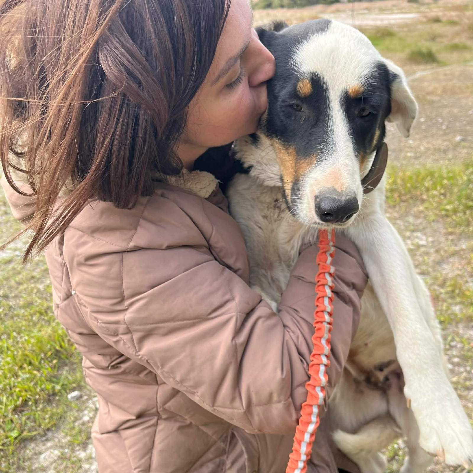 Sweetie at the shelter